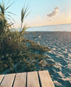 Ponton de Rico-Plage