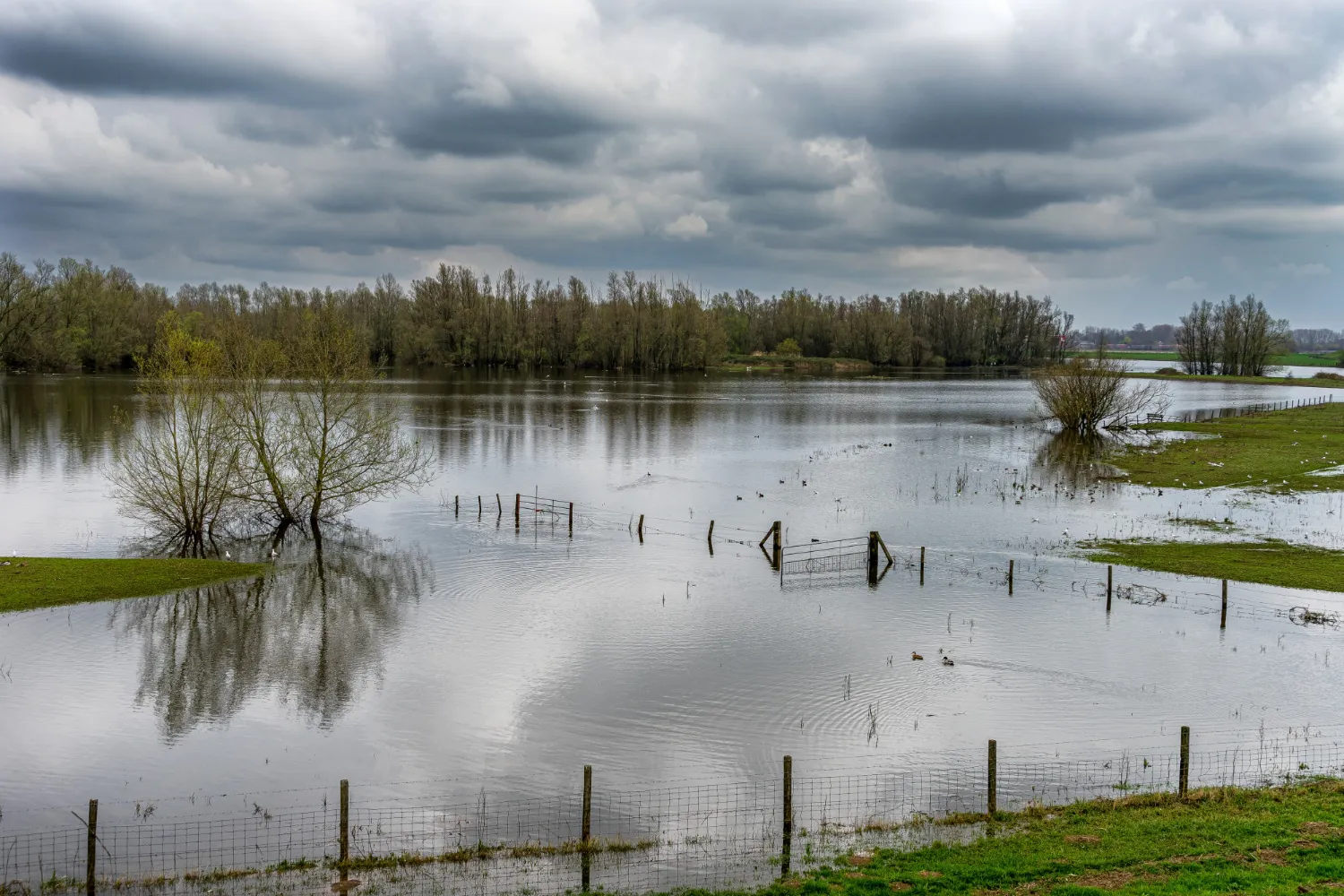 Calamités Agricoles – Inondation 13 décembre 2024