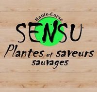 b93cbf_fdd063a8562b4578a60e32a346e5c702~mv2